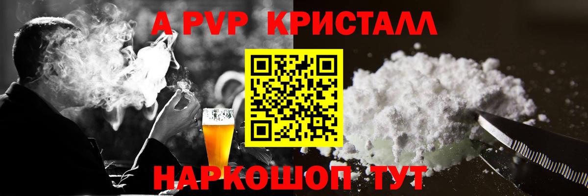 Alfa_PVP СК Кингисепп