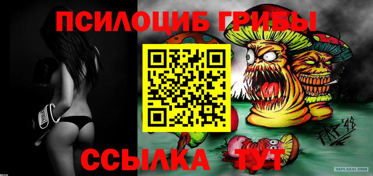 Галлюциногенные грибы MAGIC MUSHROOMS  Вход с VPN  купить наркотики сайты  Псилоцибиновые грибы Psilocybine cubensis  Кингисепп 