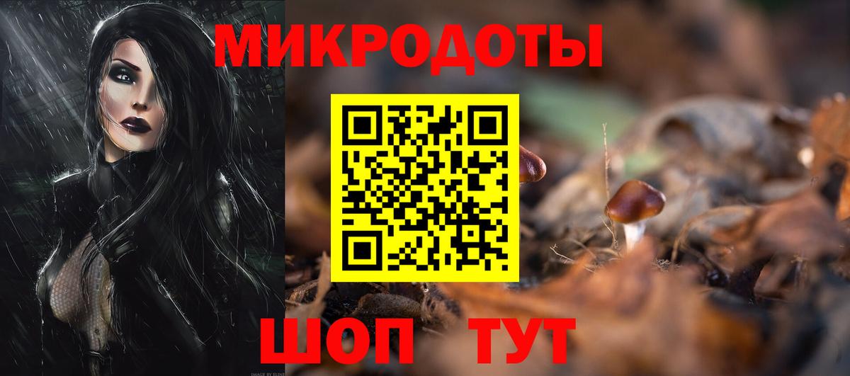 Меф мяу мяу Кингисепп